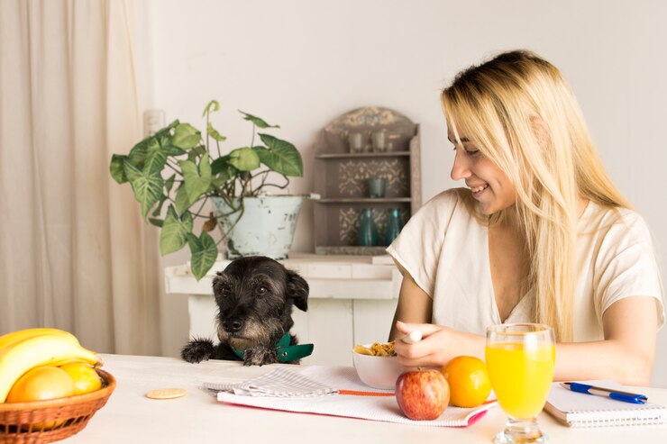 which fruits are safe and not safe for your dogs