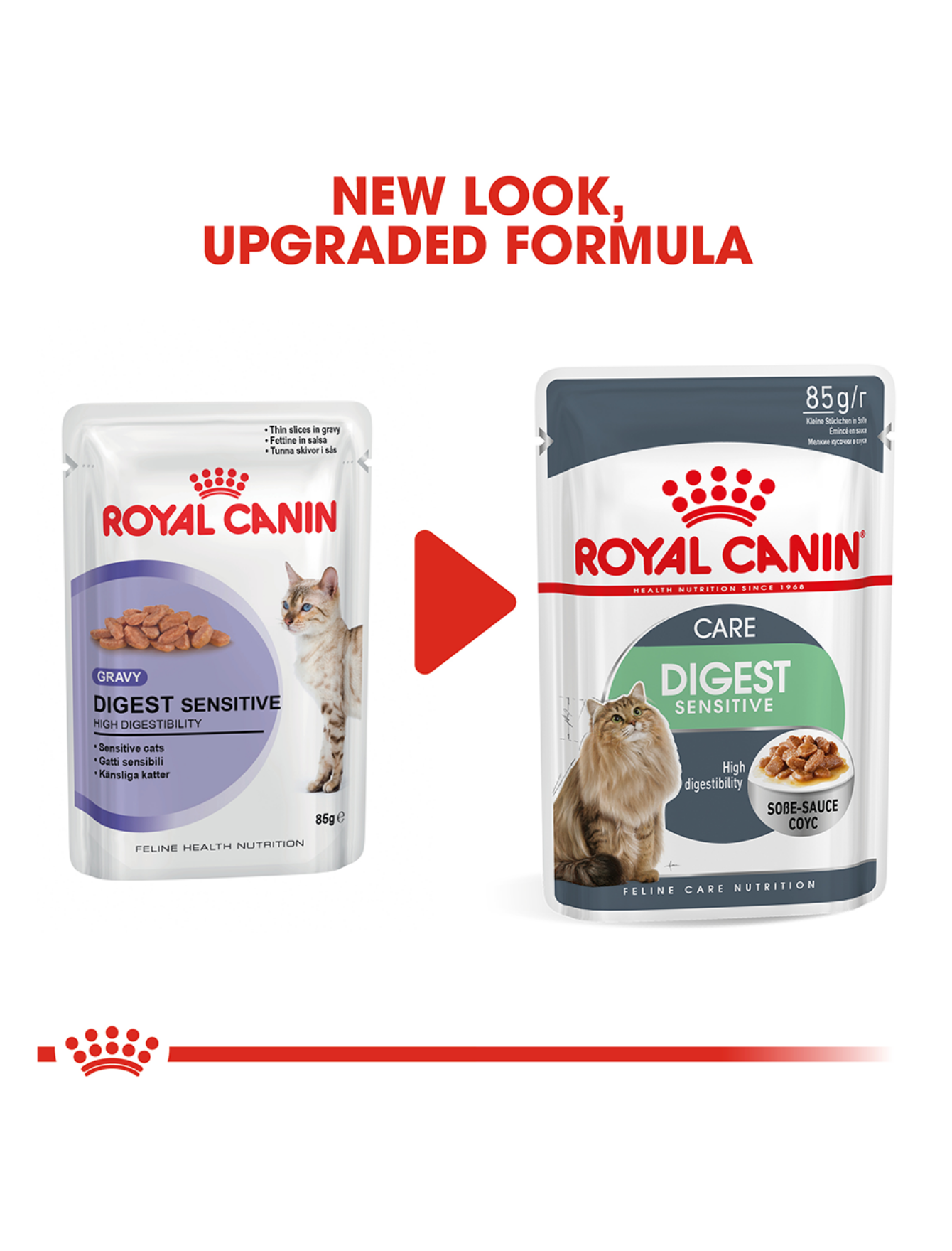 Royal Canin Cat 85g Digest Sensitive Care Gravy Wet Cat Food image 3
