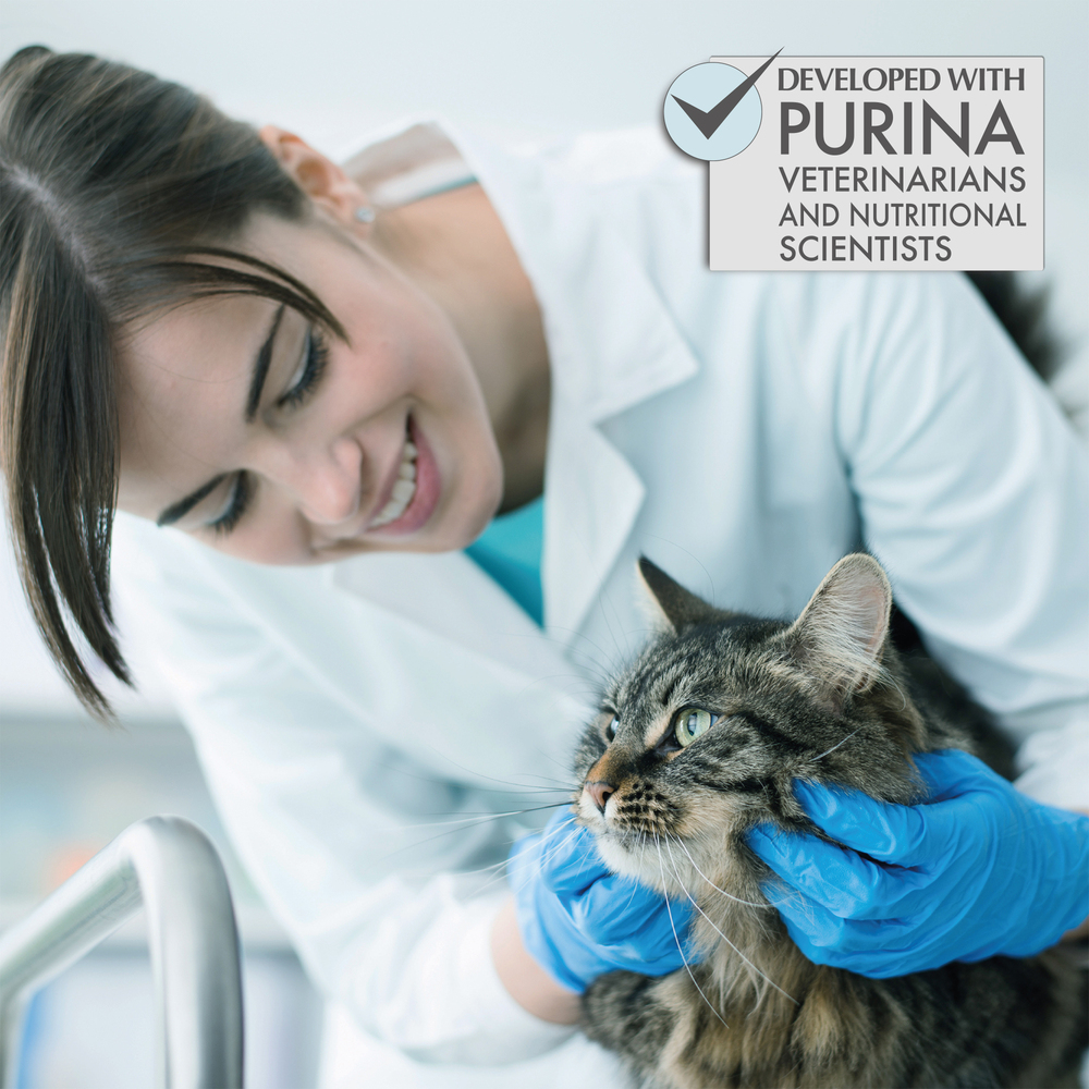 PURINA ONE Cat 1.2kg Hairball Control Chicken Dry Cat Food image 2