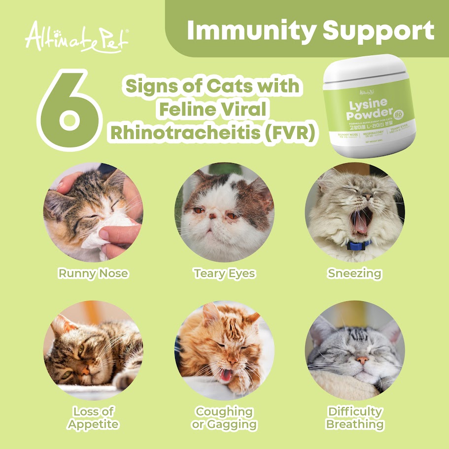 Altimate Pet Lysine Powder Supplement For Cats Over 80 Servings (200g) image 2