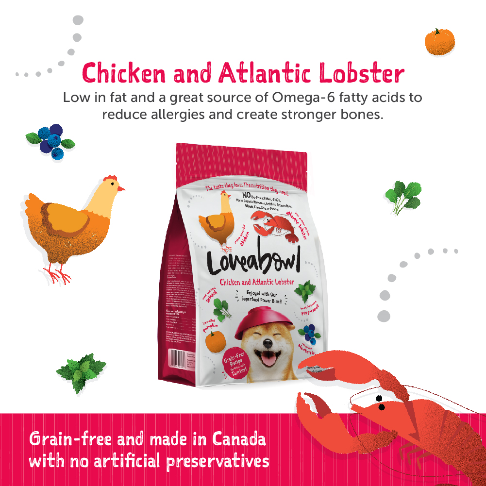 Loveabowl Dog 1.4kg Chicken with Atlantic Lobster Dry Dog Food (EXP: 22 Nov 2026) image 2