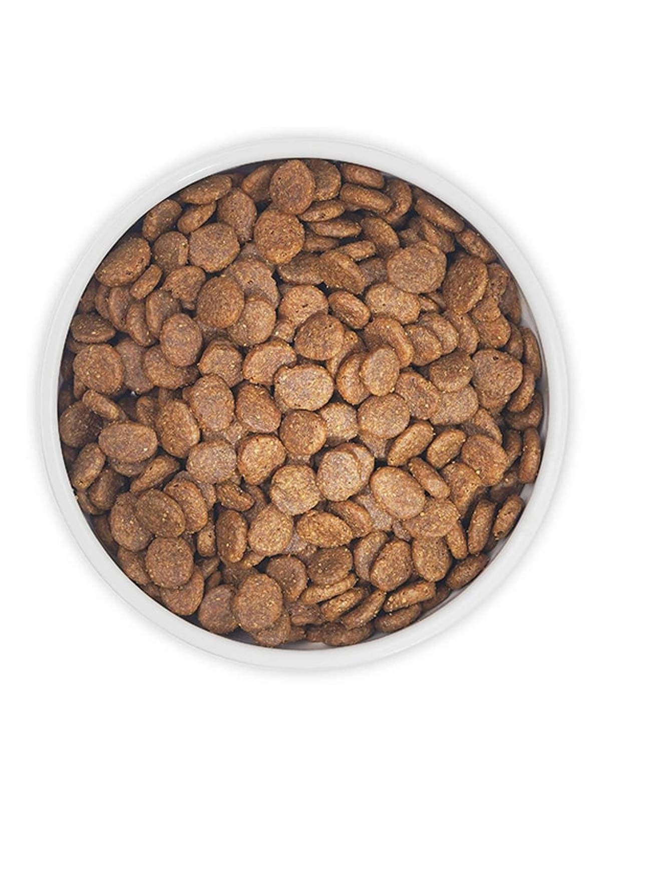 Zignature 5.7kg Salmon Formula Dry Dog Food image 2