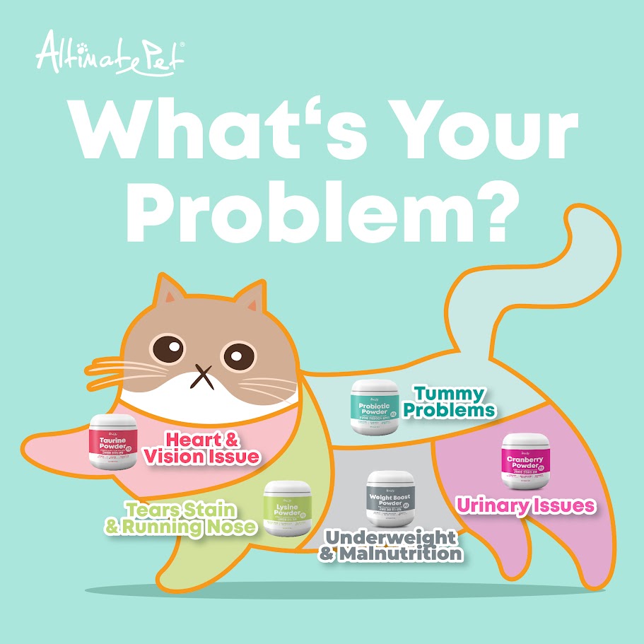 Altimate Pet Probiotic Powder Supplement For Cats Over 80 Servings (200g) (EXP: 01 Nov 2027) image 3