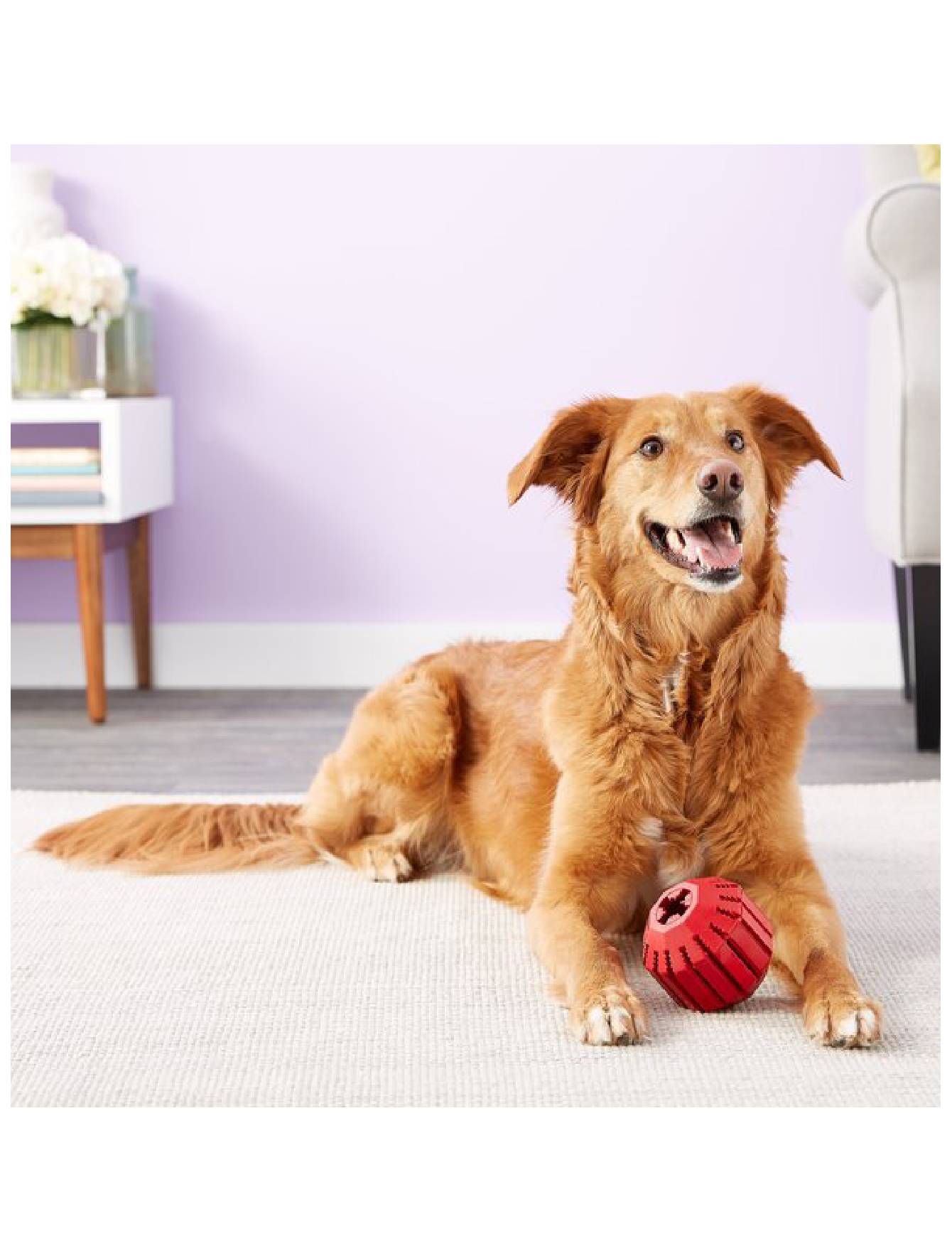 KONG Dental Stuff-A-Ball Dog Toy Large image 5