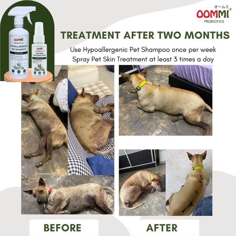 OOMMI 500ml Probiotics Hypoallergenic Pet Shampoo for Sensitive Skin image 7