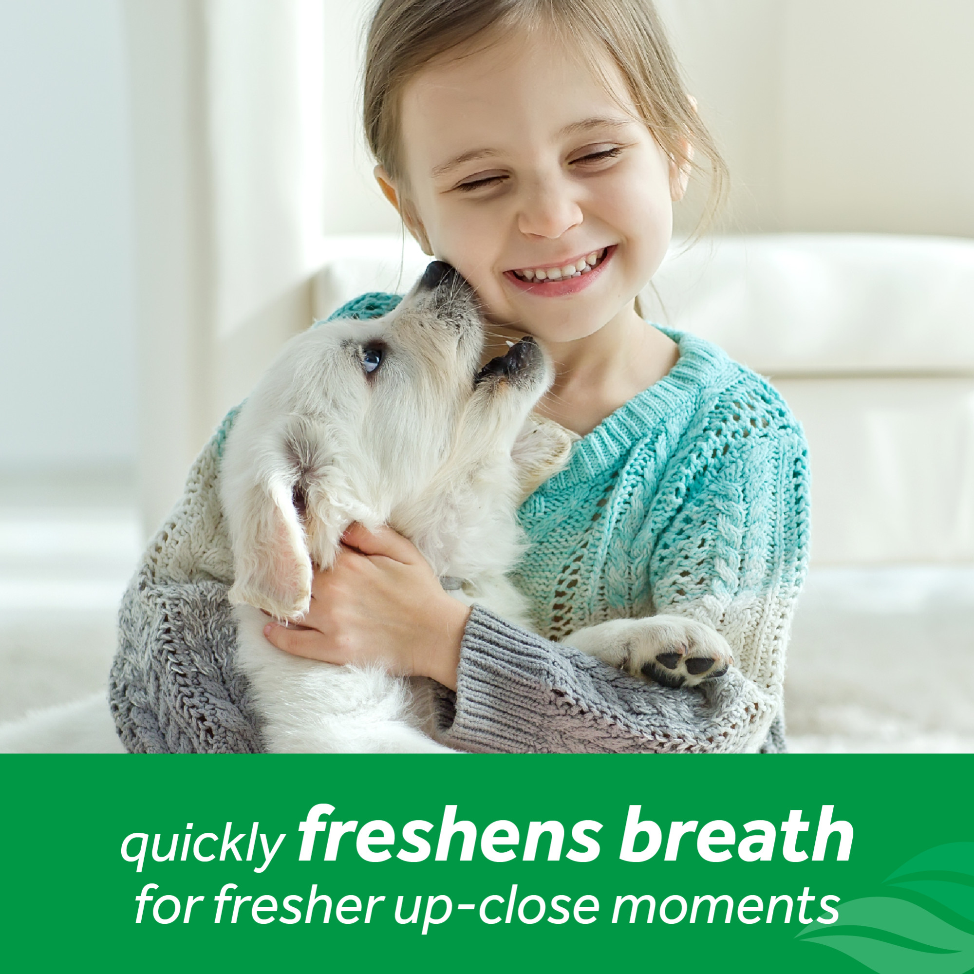 Tropiclean Fresh Breath Dog Oral Care Foam 133ml image 3