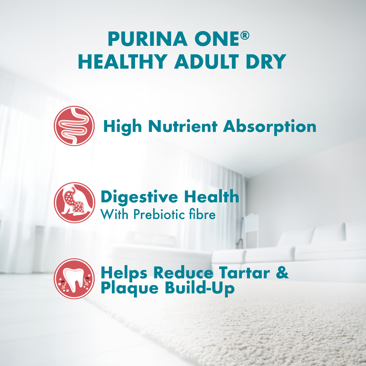 PURINA ONE Cat 380g Healthy Adult Salmon and Tuna Dry Cat Food image 4