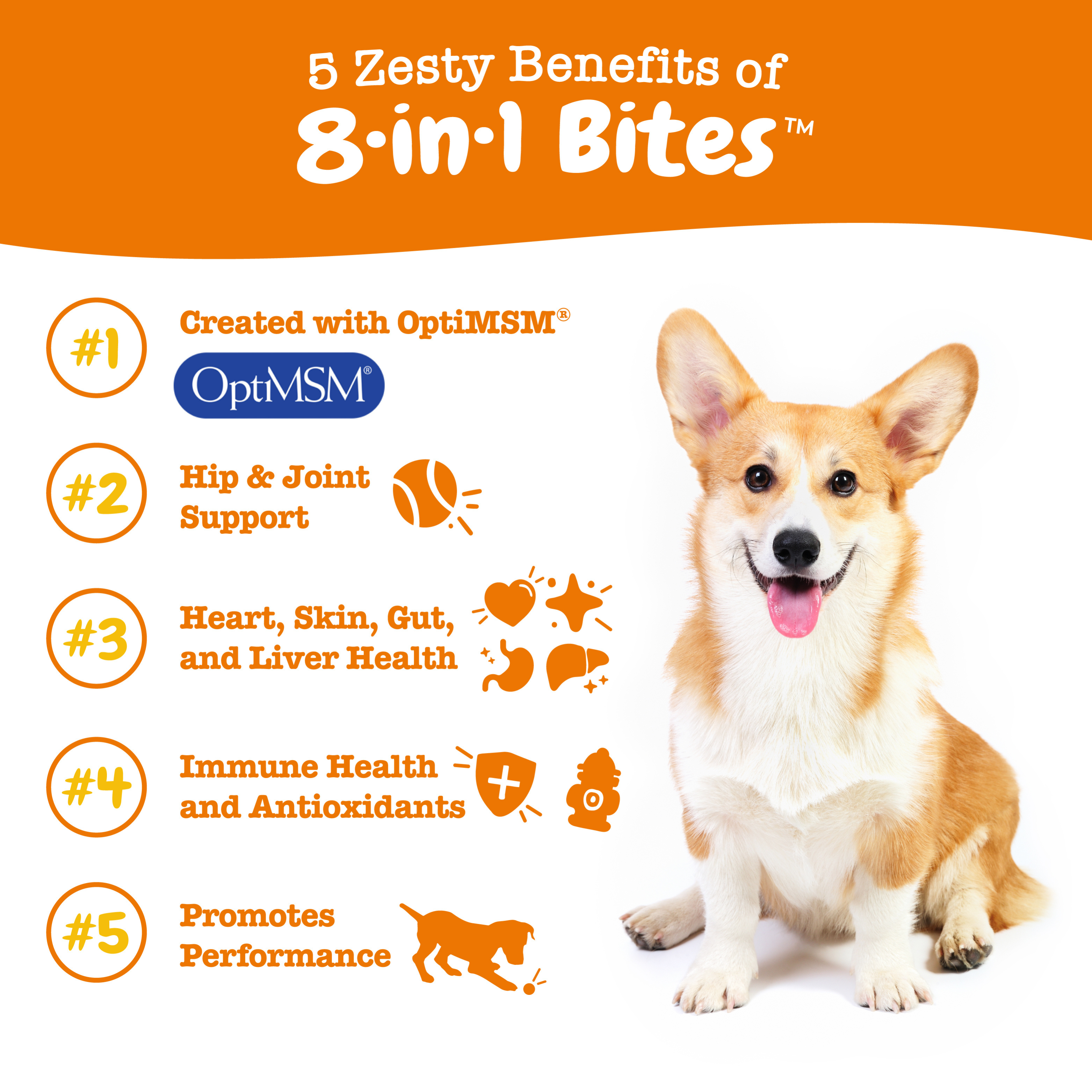 Zesty Paws 90ct 8-in-1 Multifunctional Bites Peanut Butter Flavour Supplement for Dogs image 4