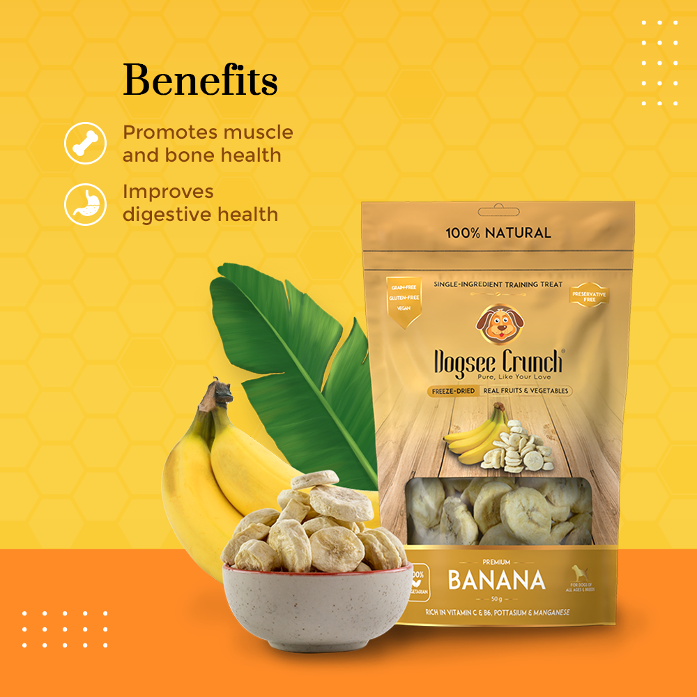 Dogsee Crunch Freeze Dried Banana 15g Dog Treats image 4