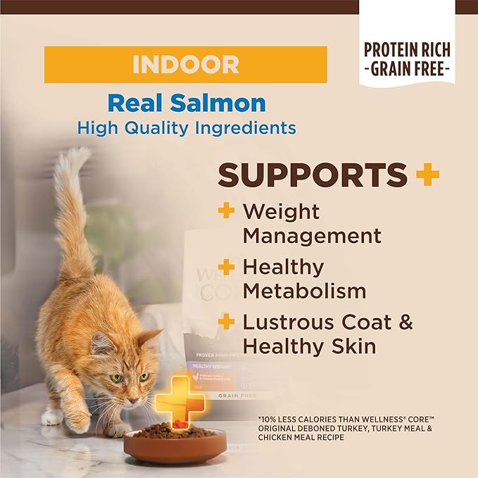 Wellness CORE Cat 2.3kg (5lb) Grain-Free Indoor Salmon & Herring Meal Dry Cat Food image 2