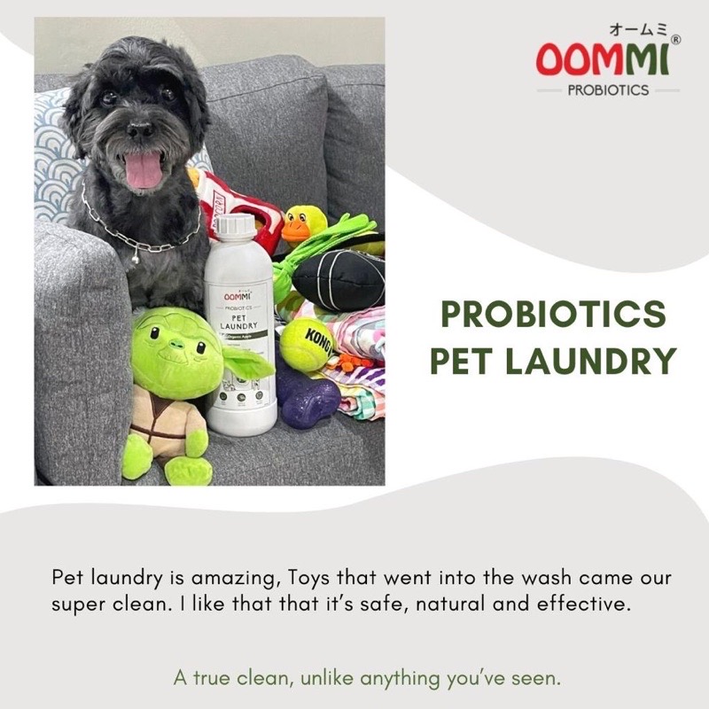 OOMMI 1L Probiotics Pet Laundry image 2