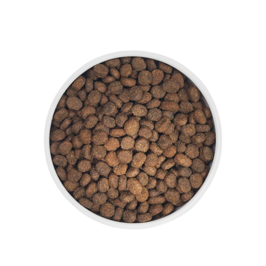 Zignature 5.7kg Zssential Formula Dry Dog Food image 4
