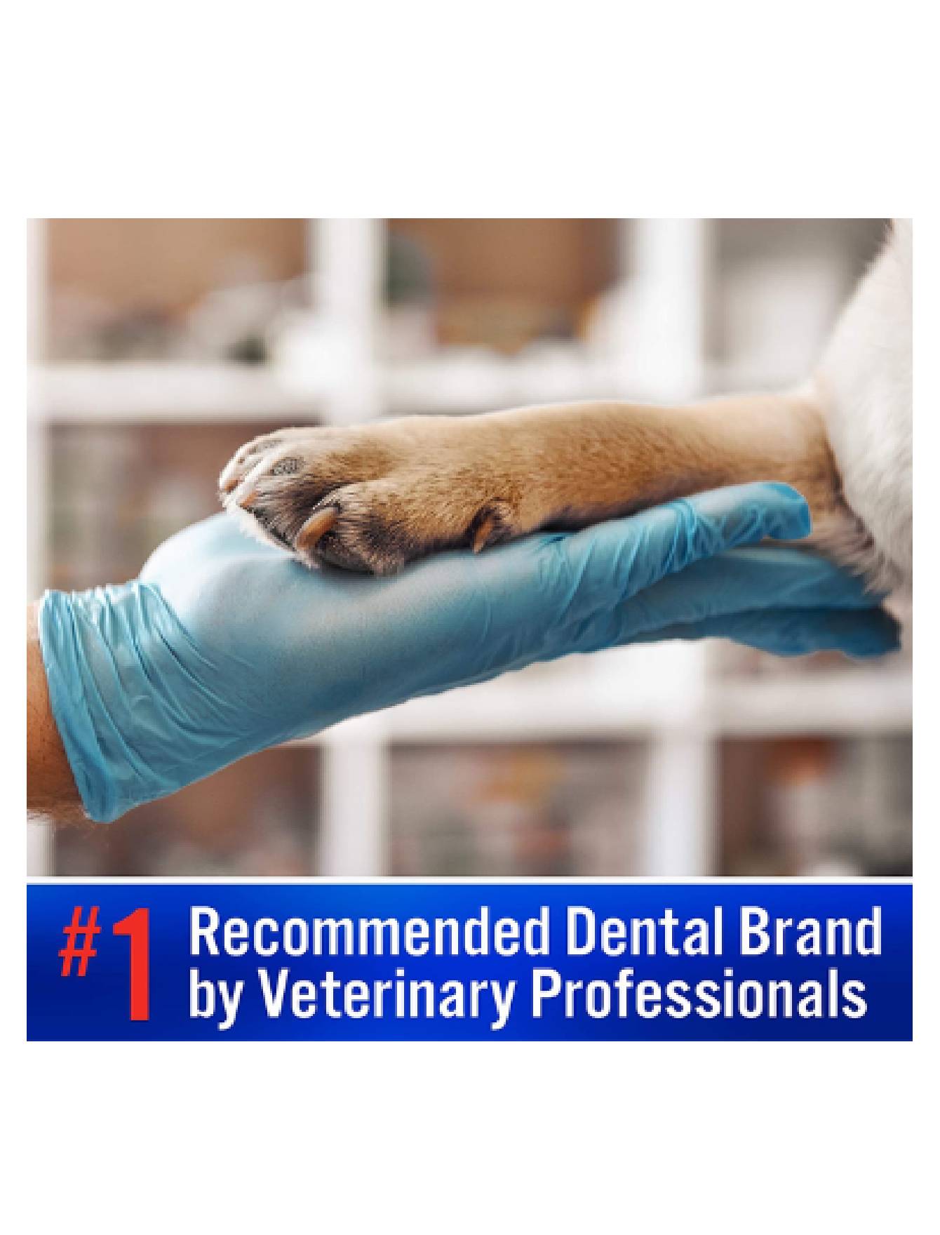 Virbac C.E.T. Enzymatic Dog Toothpaste 70g (Vanilla Mint) for Dogs and Cats image 5