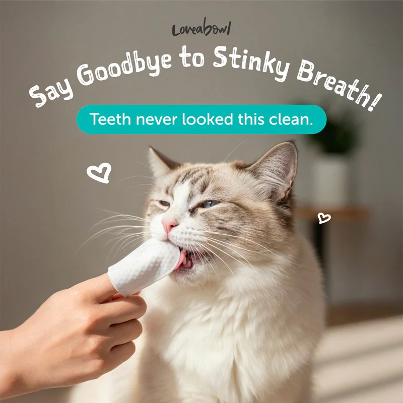 Loveabowl Cat Clean-A-Tooth 50pcs Dental Cleaning Wipes image 8