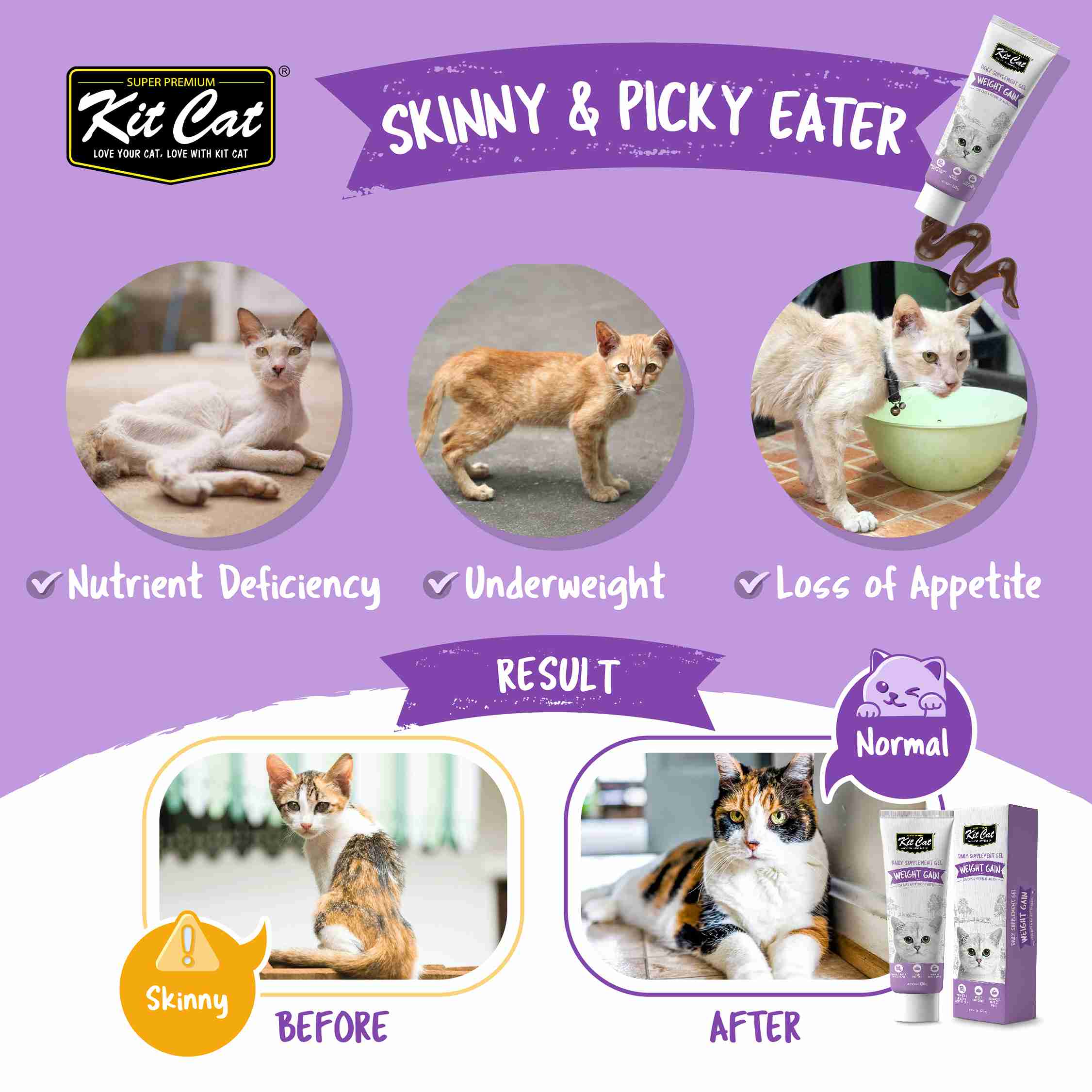 Kit Cat 120g Daily Nutritional Supplement Gel Weight Gain For Cats & Kittens image 2