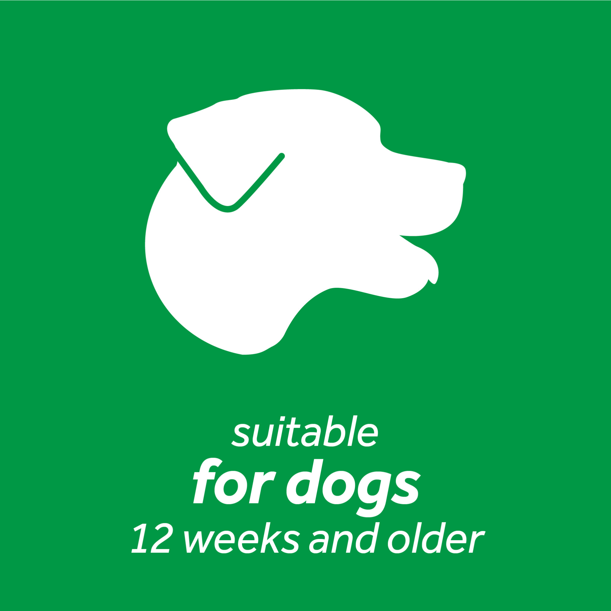 Tropiclean Fresh Breath Dog Dental Health Solution 473ml Supports Skin Health image 3