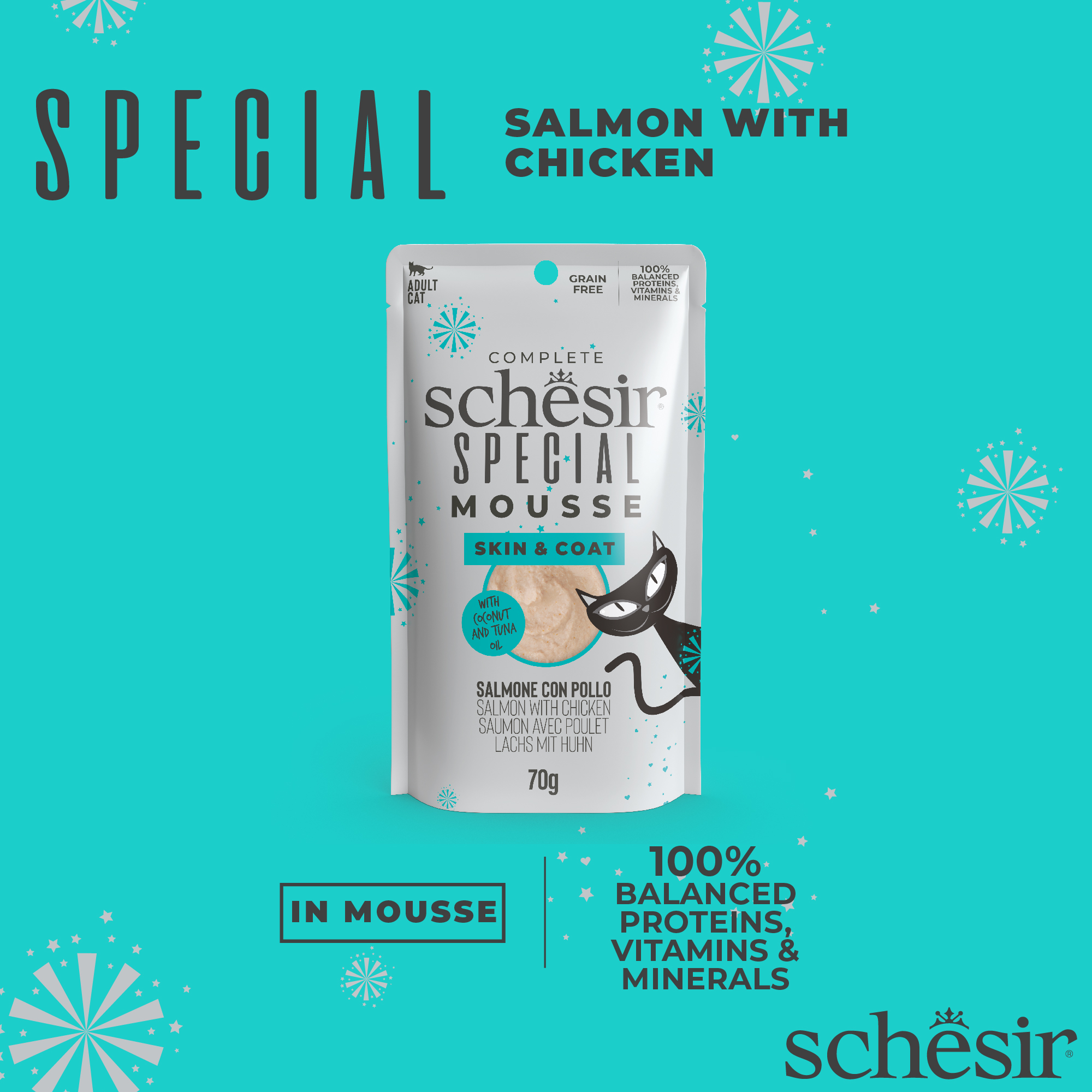 Schesir Cat Special Mousse 70g Skin & Coat Salmon with Chicken Pouch Wet Cat Food image 4