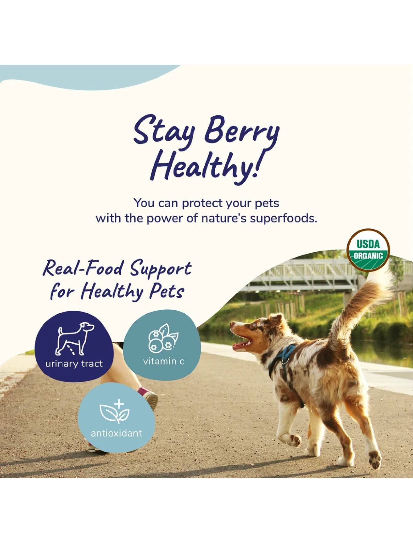 Kin+Kind 226g Organic Healthy Immunity Supplement for Dogs & Cats (EXP: 01 Jan 2027) image 2