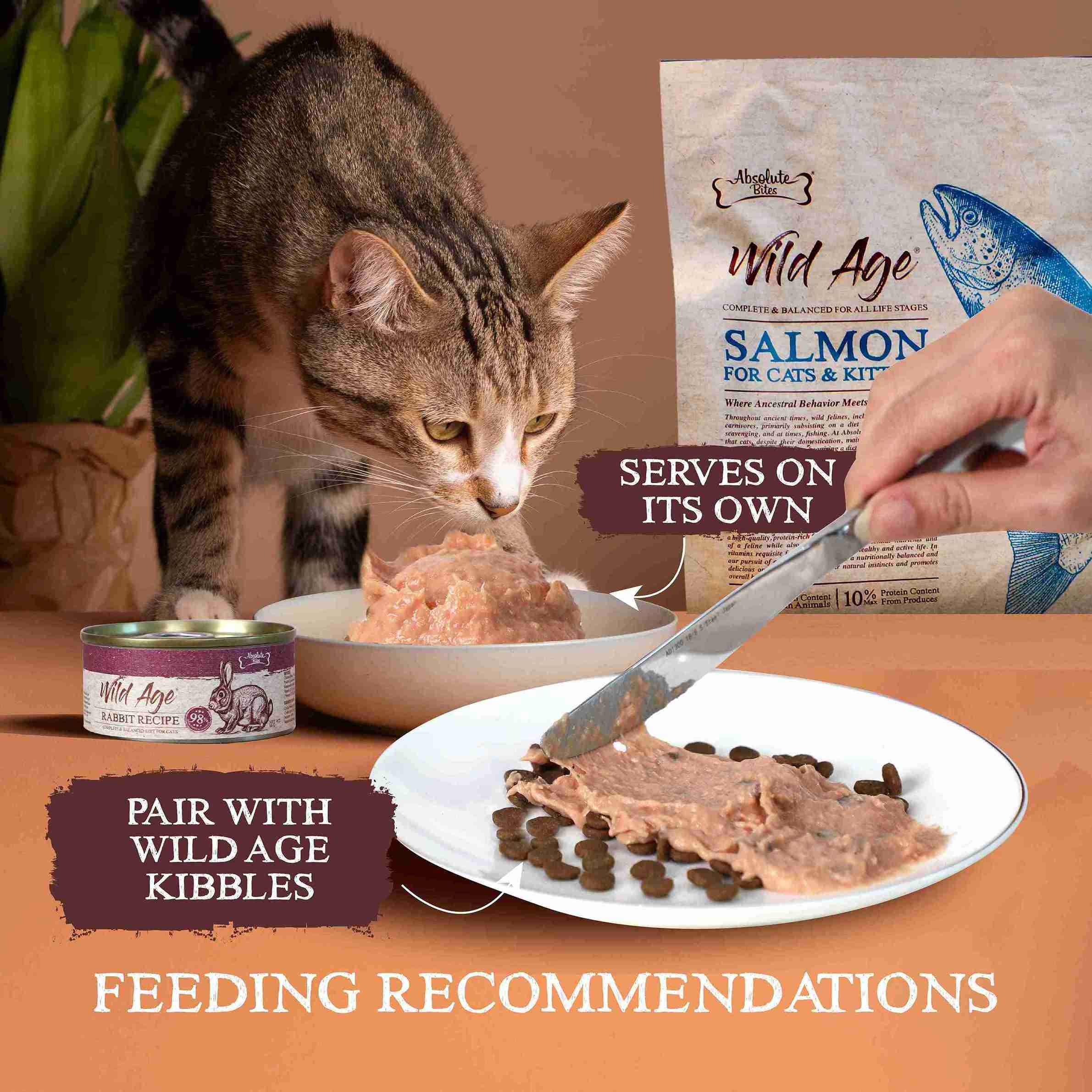 Absolute Bites Wild Age Cat 80g Complete & Balanced Diet Quail Canned Wet Cat Food image 4
