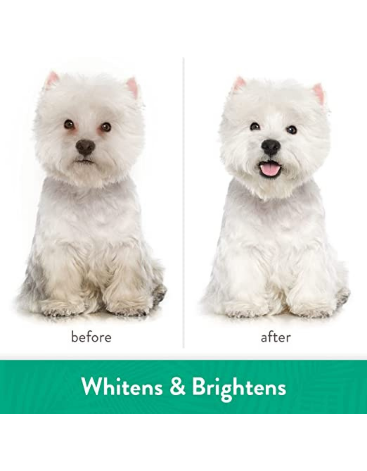 Tropiclean Whitening Pet Shampoo 355ml Awapuhi & Coconut image 6