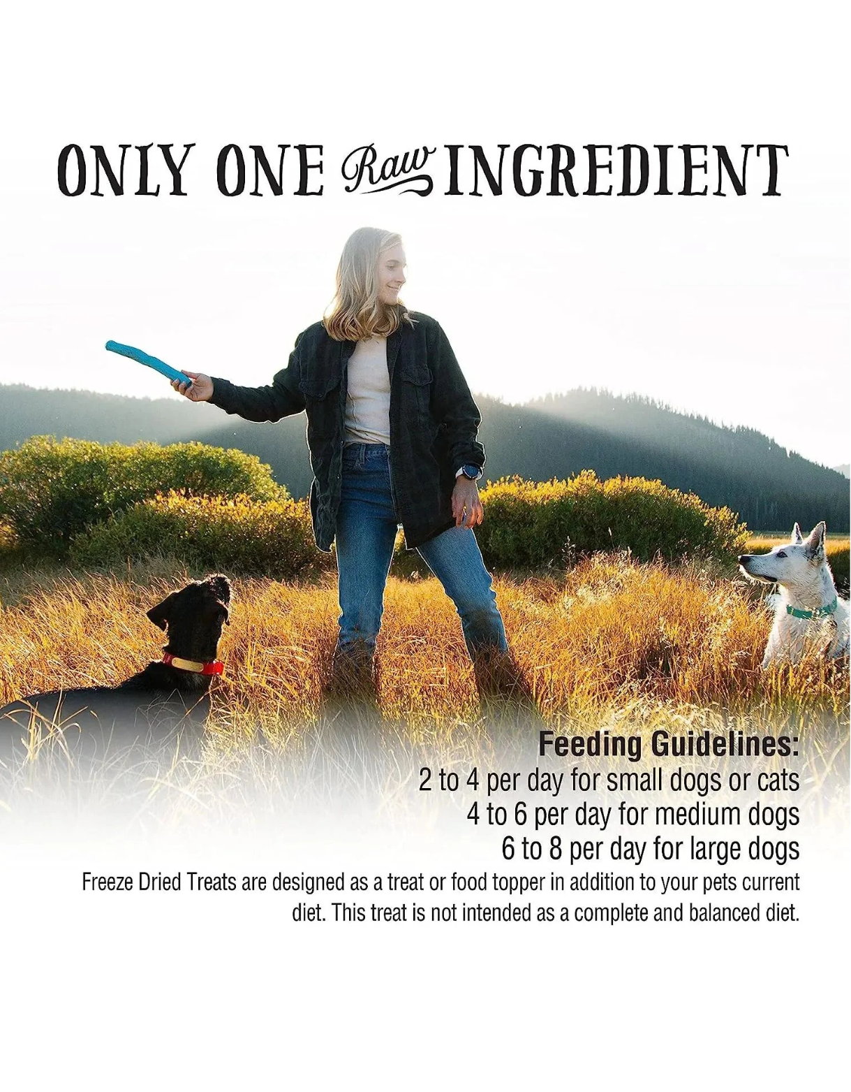 Northwest Naturals Raw Rewards 3oz Freeze Dried Pork Heart Treats for Dogs & Cats image 6