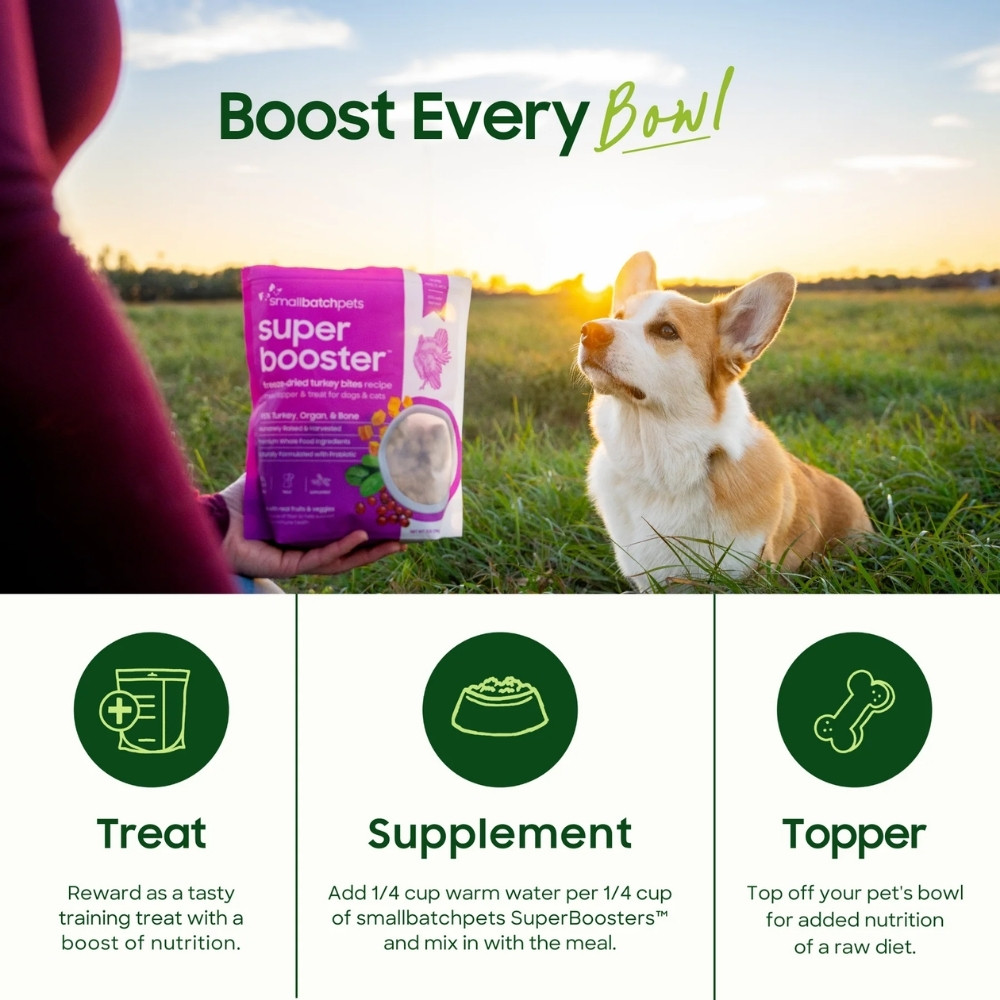 SmallBatch Super Booster 7oz Freeze Dried Raw Topper Lamb Bites for Dogs & Cats image 2