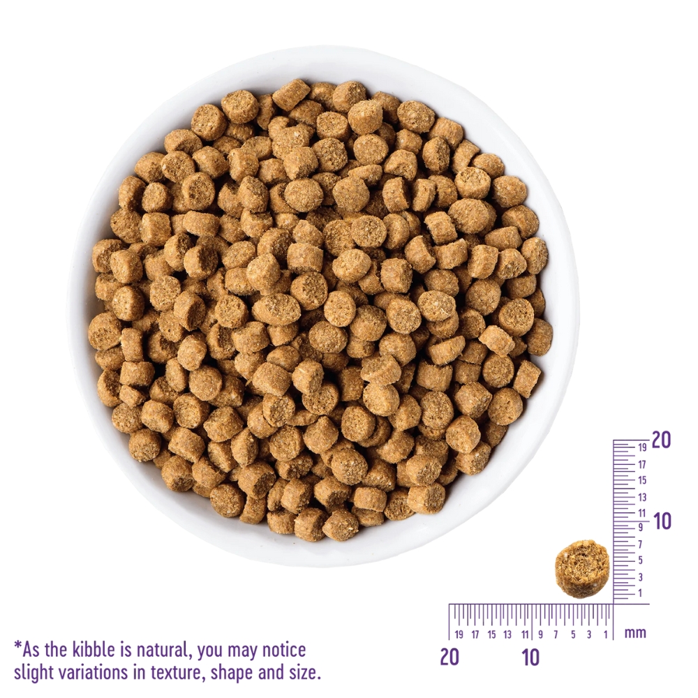 Wellness CORE Cat 2.3kg (5lb) Kitten Grain Free Deboned Turkey, Turkey Meal & Deboned Chicken Dry Cat Food image 3