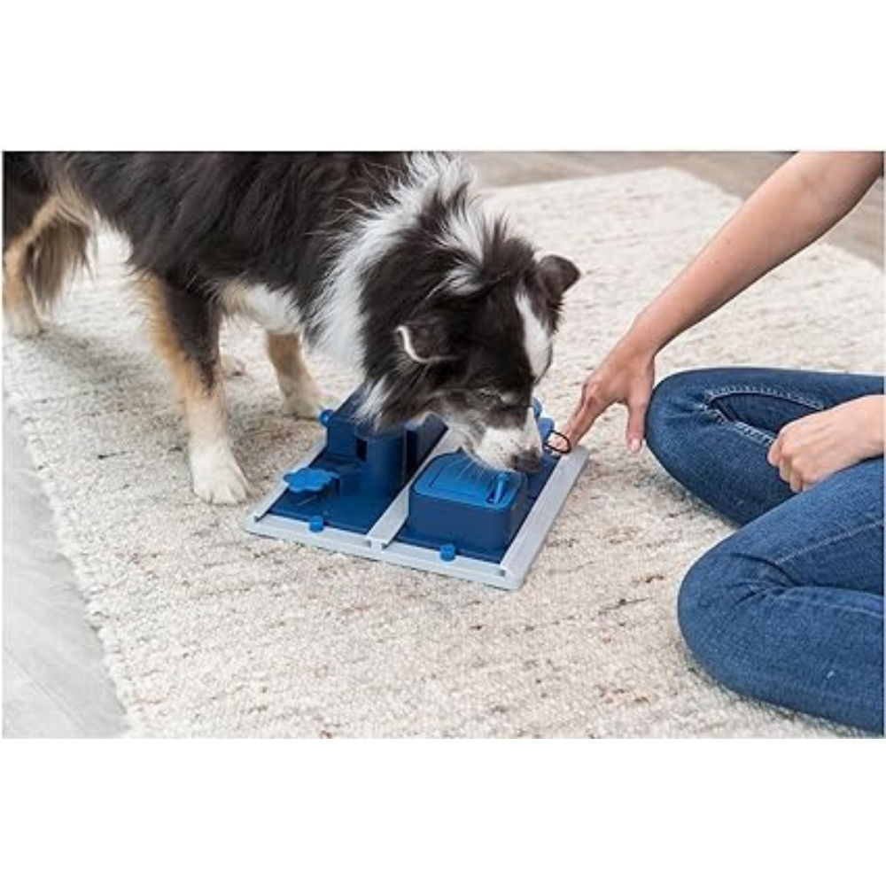 Trixie Poker Box 2 Strategy Game for Dogs 31 x 10 x 31 cm image 3