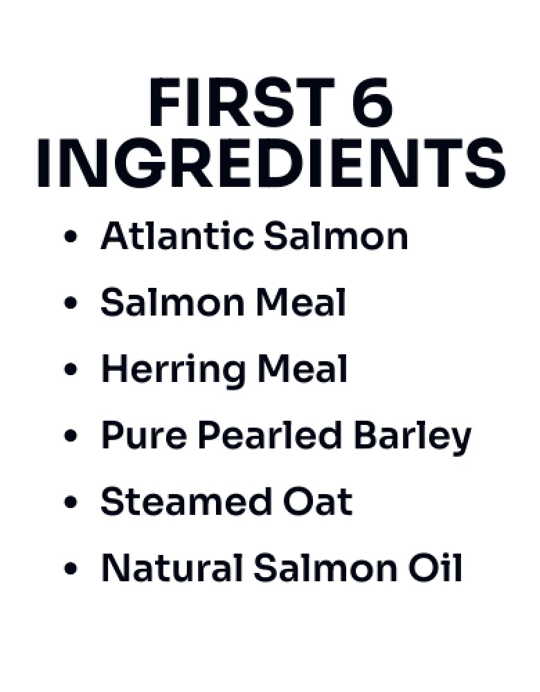Nurture Pro Dog Nourish Life 300g Slow-cooked Salmon For Adult Dog Dry Dog Food image 4