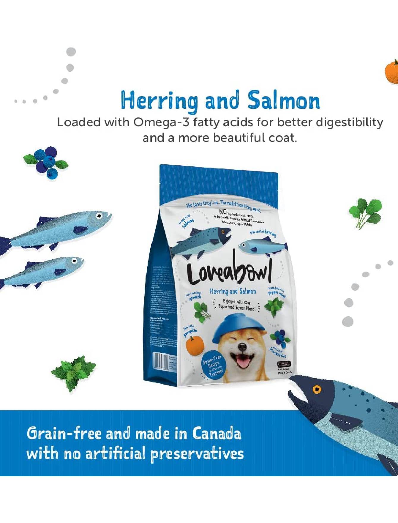 Loveabowl Dog 1.4kg Herring and Salmon Dry Dog Food image 5