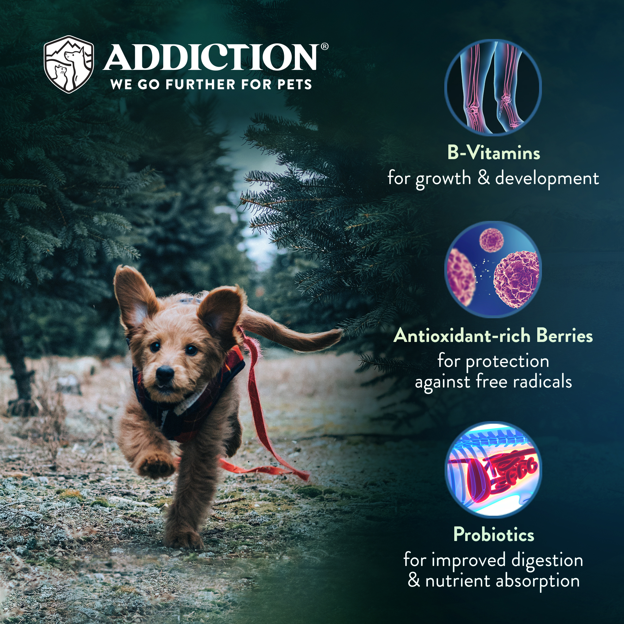 Addiction Dog 9kg Grain Free Salmon Bleu Puppy Dry Dog Food image 2