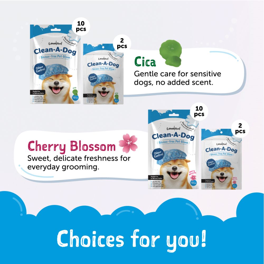 Loveabowl Dog Clean-A-Dog 10pcs Original Cica Pet Glove image 3