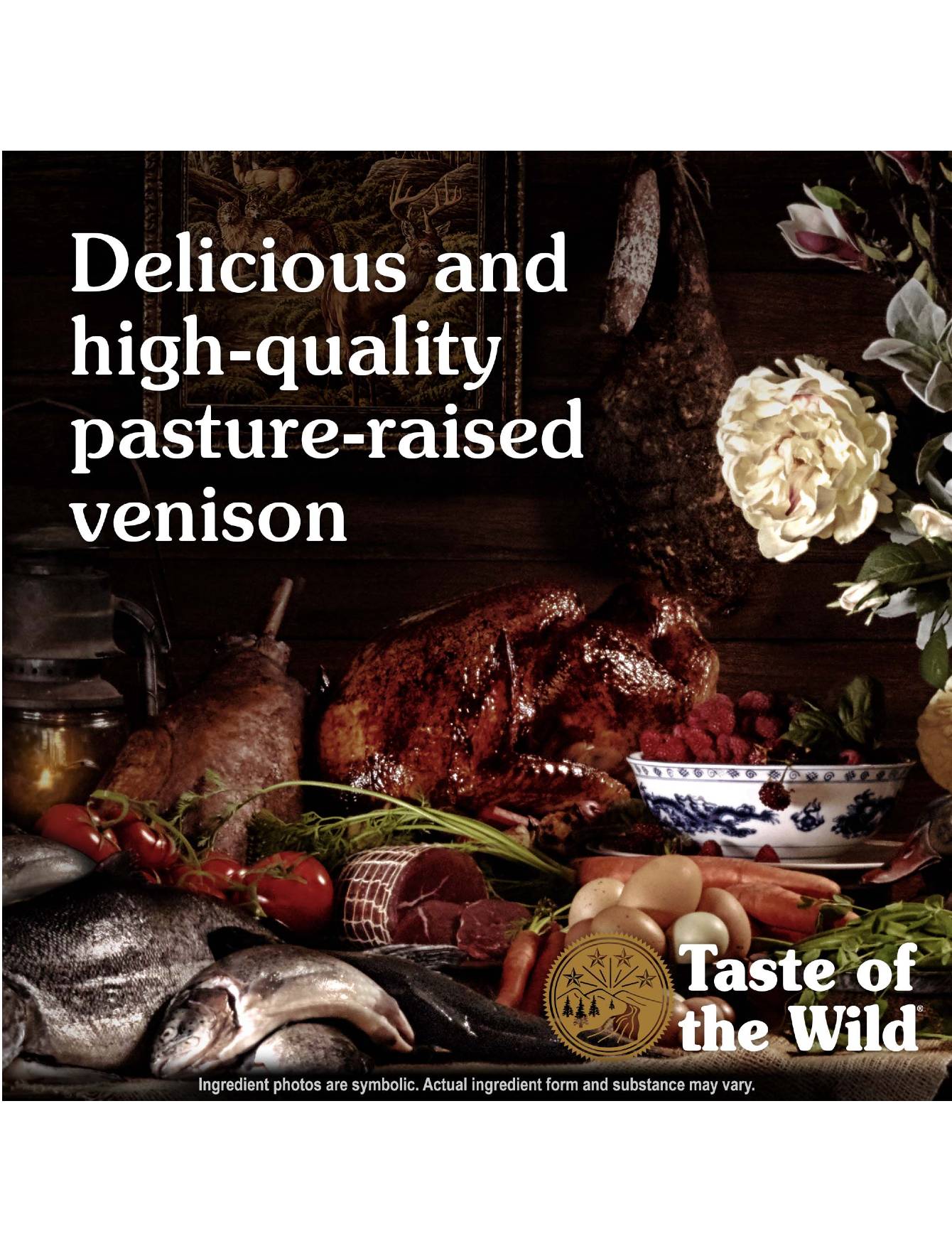 Taste of the Wild Dog 12.2kg Pine Forest Canine Dry Dog Food image 4