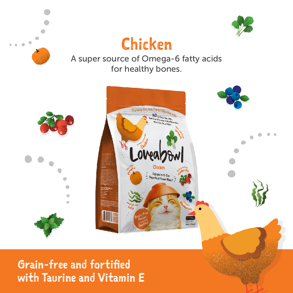 Loveabowl Cat 150g Chicken Cat Dry Cat Food image 2