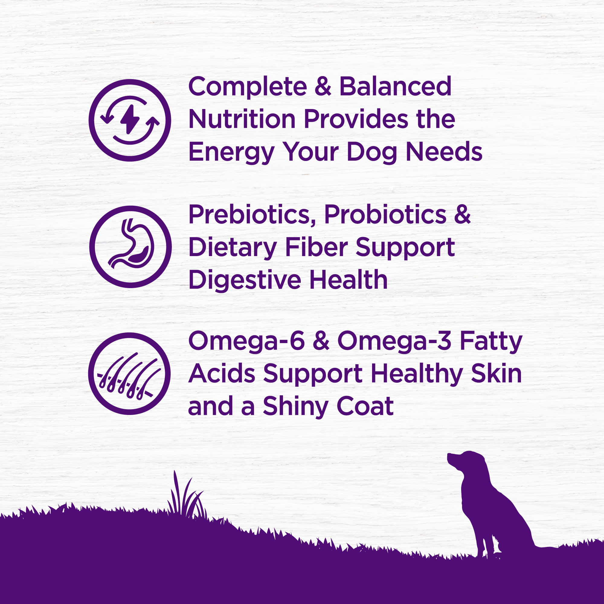 Wellness Complete Health 30lb (13.6kg) Large Breed Deboned Chicken & Brown Rice Dry Dog Food image 4