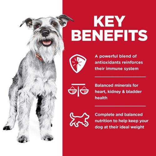 Hill's Science Diet Canine Adult 7+ Small Paws Chicken Meal Barley & Brown Rice Recipe 7kg Dry Dog Food image 3