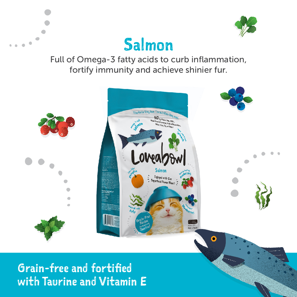 Loveabowl Cat 9.07kg Grain Free Salmon Dry Cat Food image 9