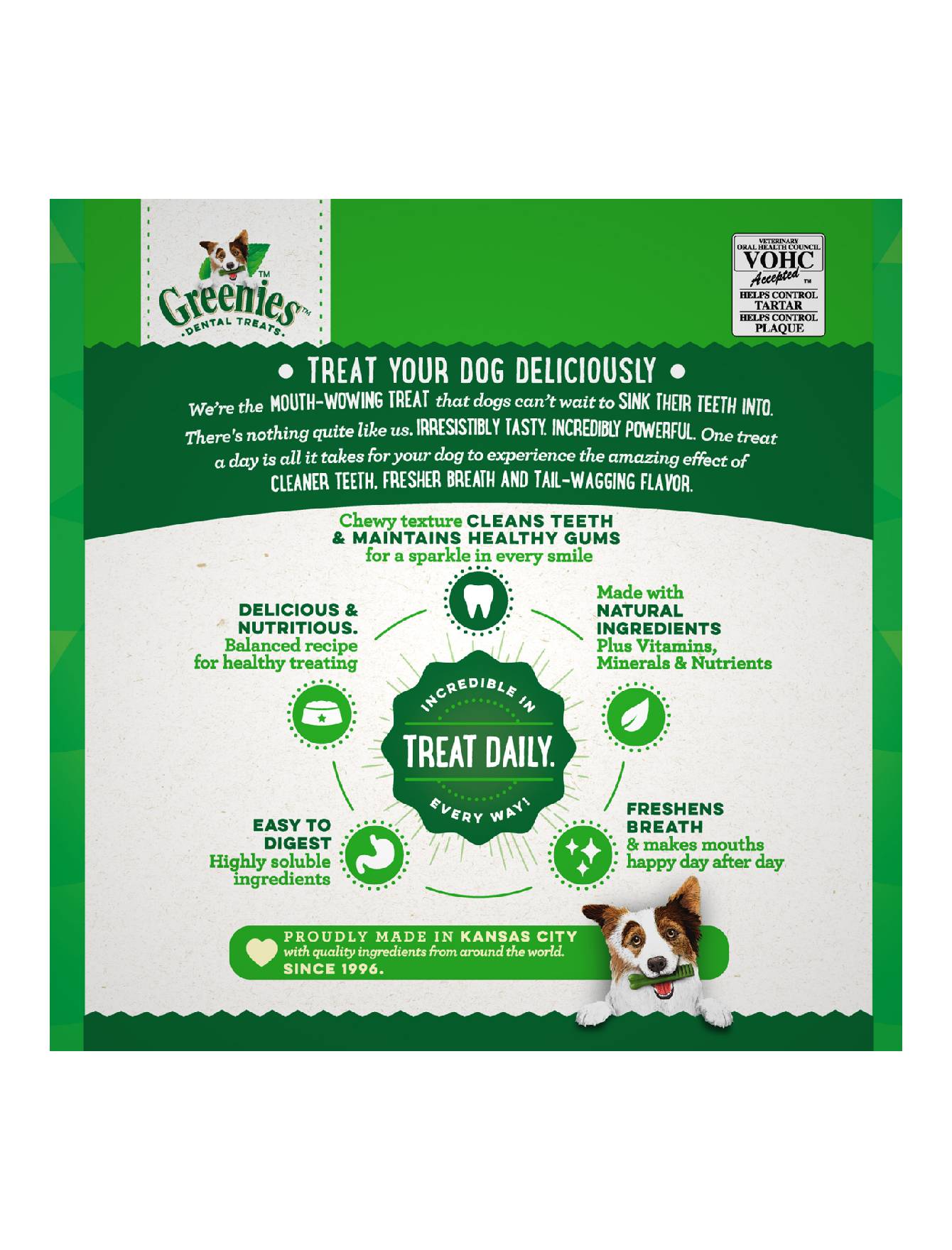 Greenies Dog 6oz (170g) Canine Petite Dental Dog Treats image 5