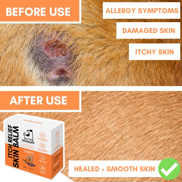 Dogslife Itch Relief Balm 60ml image 4