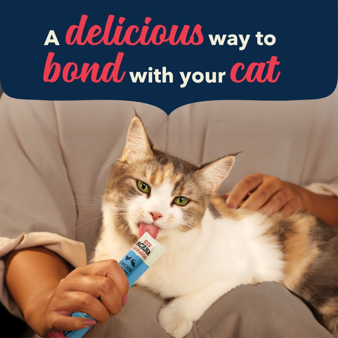 Acana Cat 14gx5 Lickables Chicken & Tuna Cat Treat image 3
