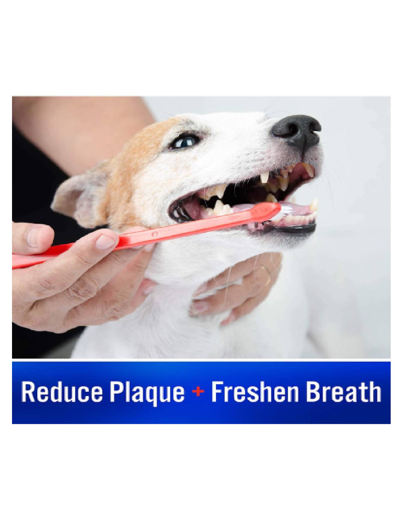 Virbac C.E.T. Enzymatic Dog Toothpaste 70g (Vanilla Mint) for Dogs and Cats image 4