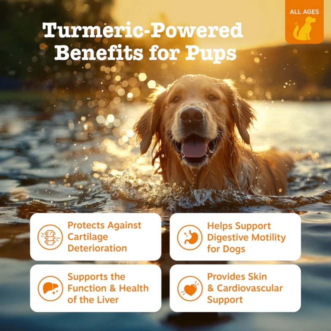 Zesty Paws 90ct Turmeric Curcumin Bites Duck Supplement For Dog image 5