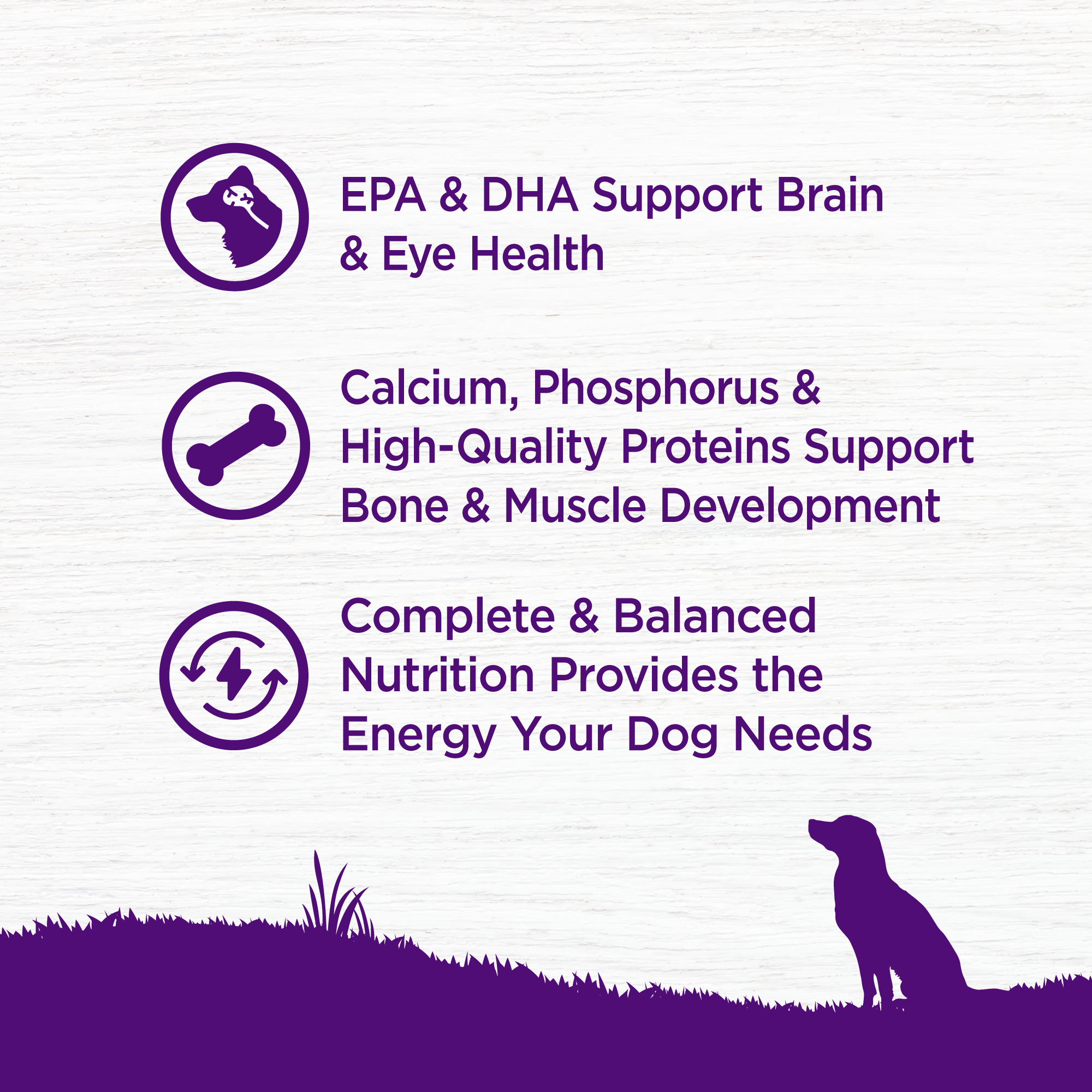 Wellness Complete Health Grain Free 12lb (5.4kg) Puppy Deboned Chicken, Chicken Meal & Salmon Meal Dry Dog Food image 3
