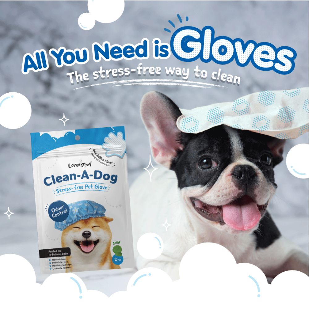 Loveabowl Dog Clean-A-Dog 10pcs Original Cica Pet Glove image 11