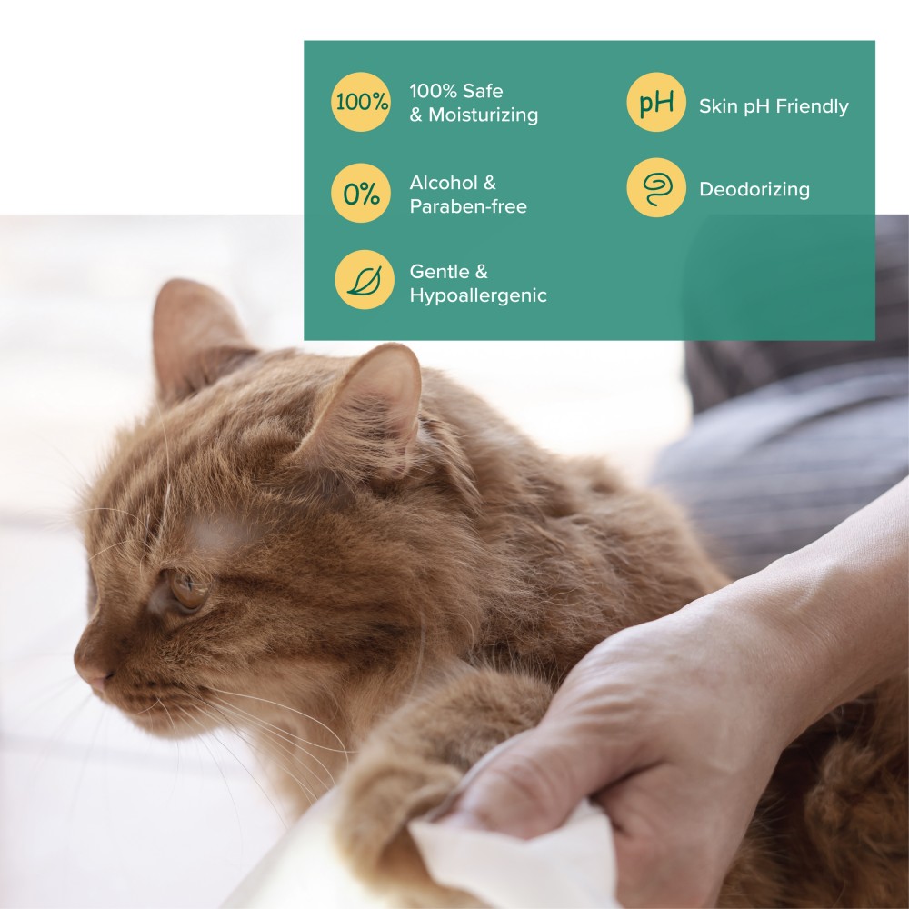 Nurture Pro AG+ Silver Pet Wipes 100 Sheets Unscented image 3
