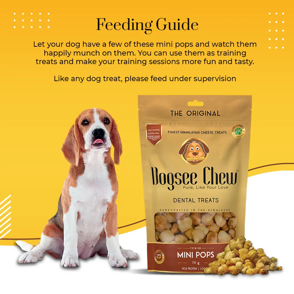 Dogsee Chew Dog 70g Minipops Dog Treat image 4