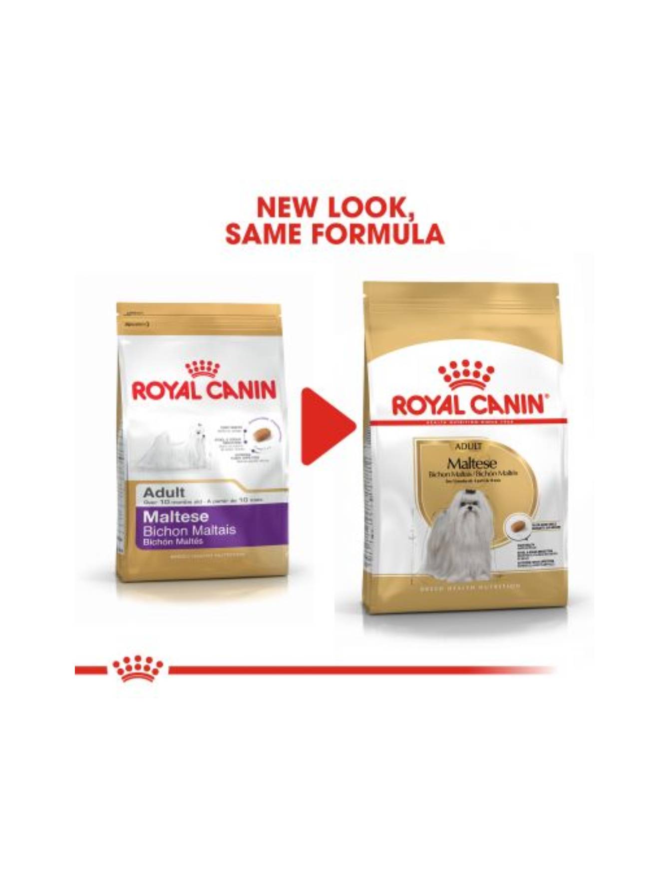 Royal Canin Dog 1.5kg Adult Maltese Dry Dog Food image 3