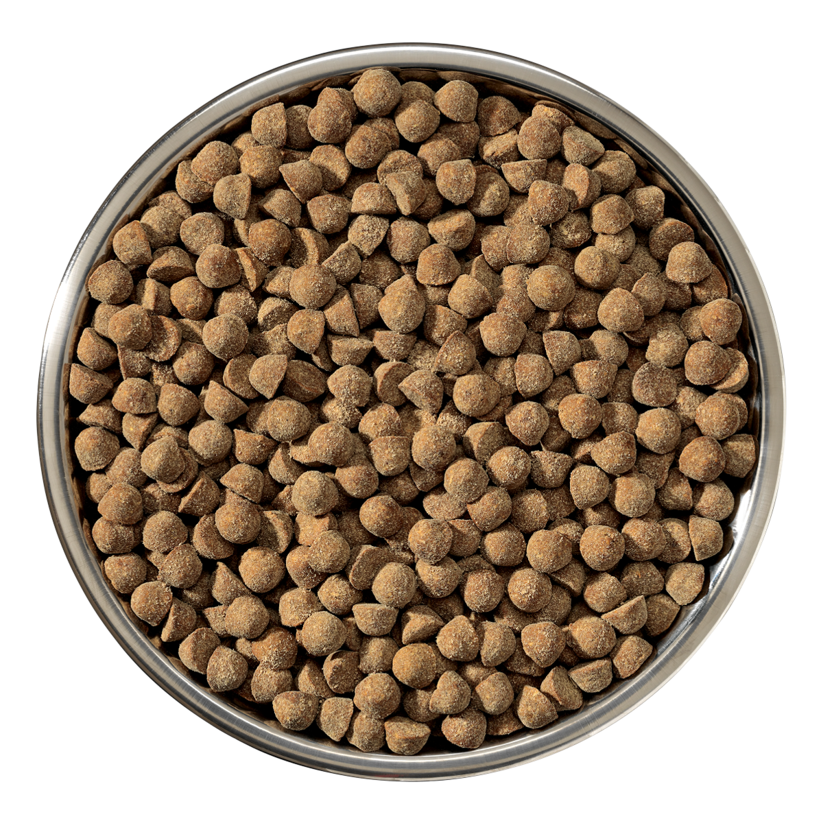 Stella & Chewy's Raw Coated Kibble Wholesome Grains 22lb (10kg) Puppy Chicken With Pumpkin & Quinoa Dry Dog Food image 2