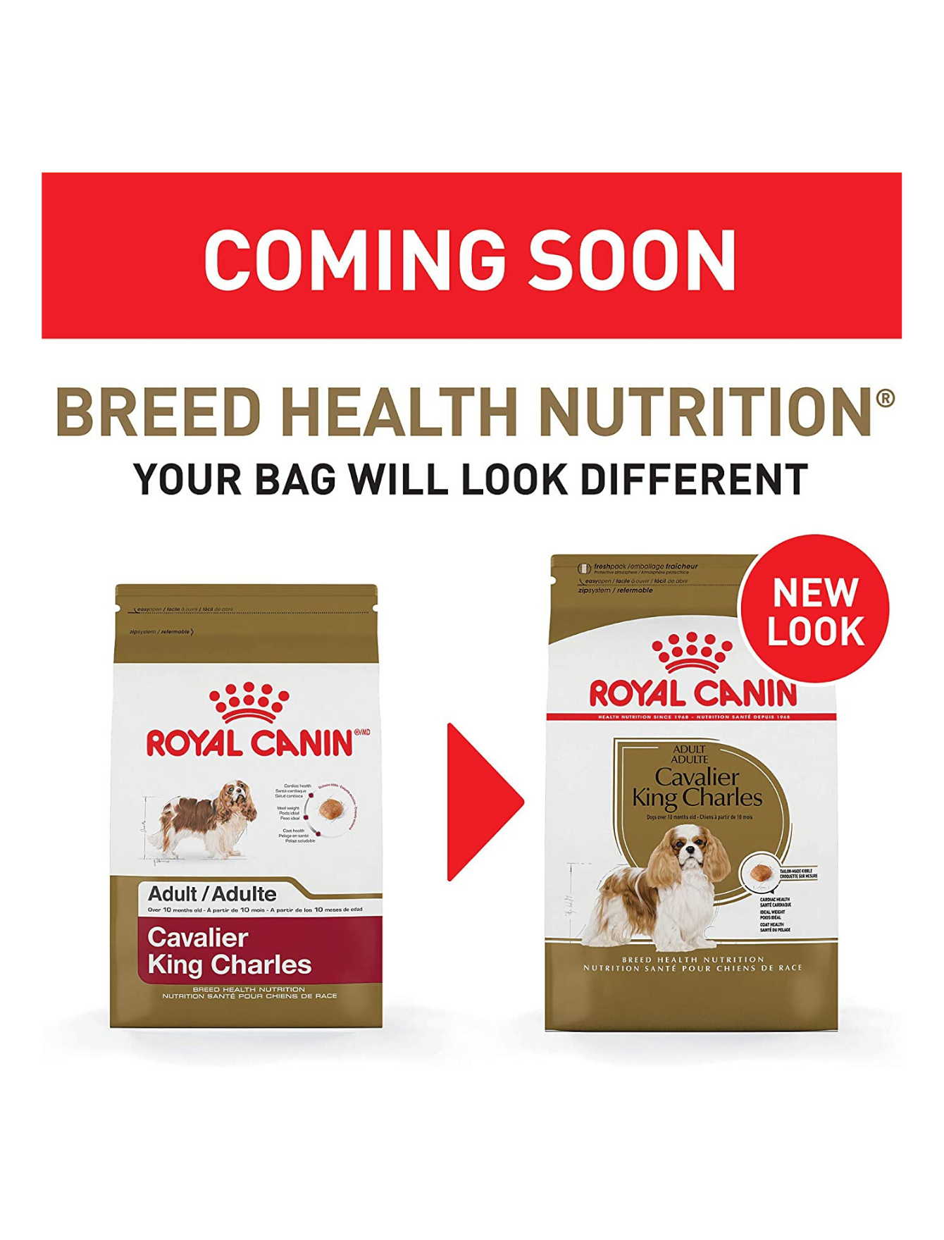 Royal Canin Dog 1.5kg Adult Cavalier King Charles Dry Dog Food image 3