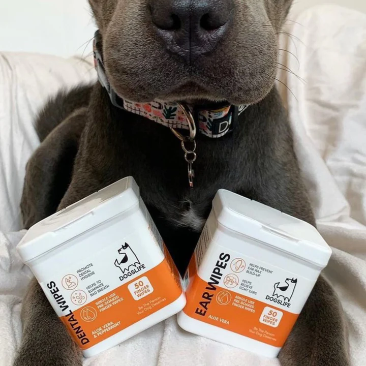 (Ex:p: Nov'24) Dogslife Ear Cleaning Wipes 50 Finger Wipes image 4